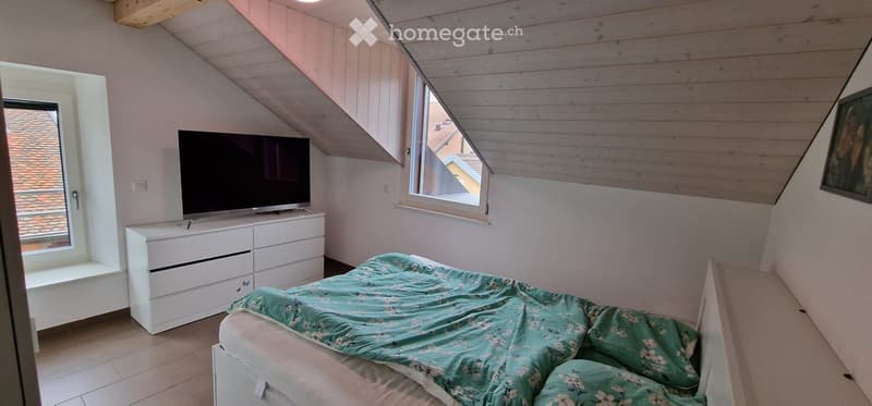 À LOUER APPARTEMENT DUPLEX 4,5 PIÈCES 110 m² (4)