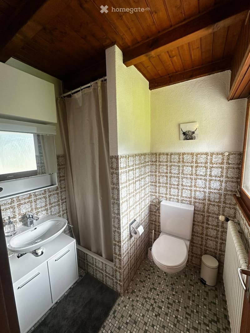 1.5 pièces à Ovronnaz centre (4)
