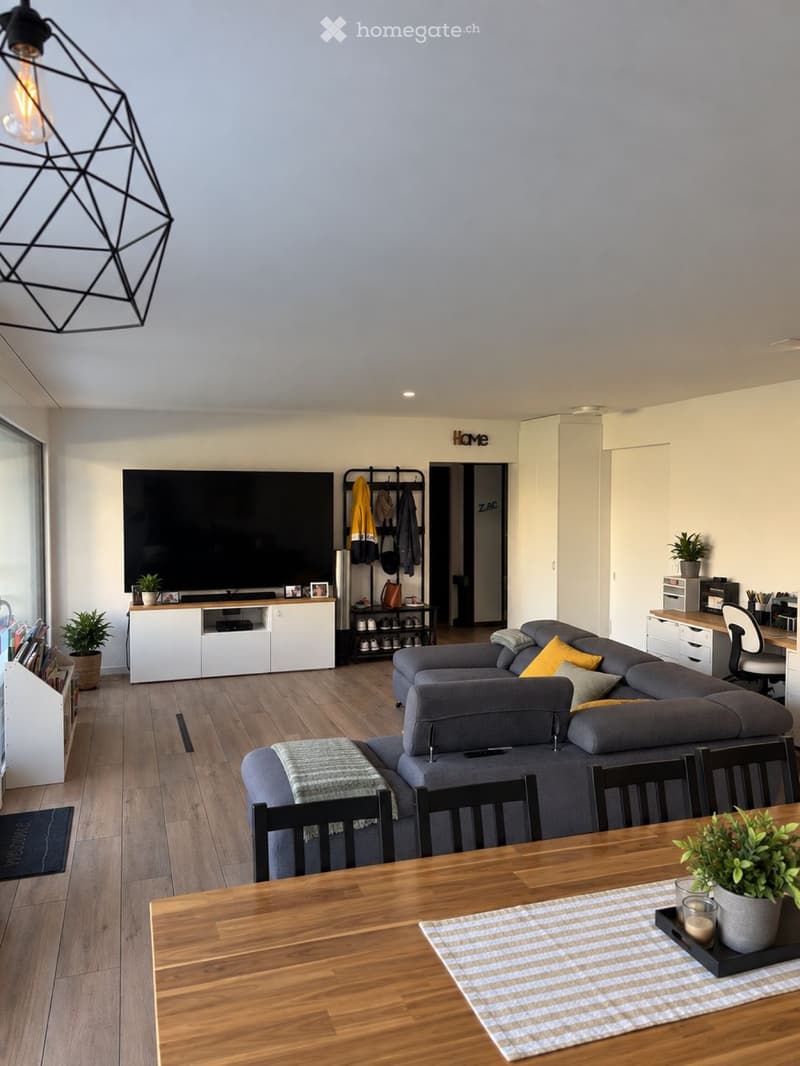 Superbe 3,5 pièces récent 85 m² + terrasse de 45 m² (3)