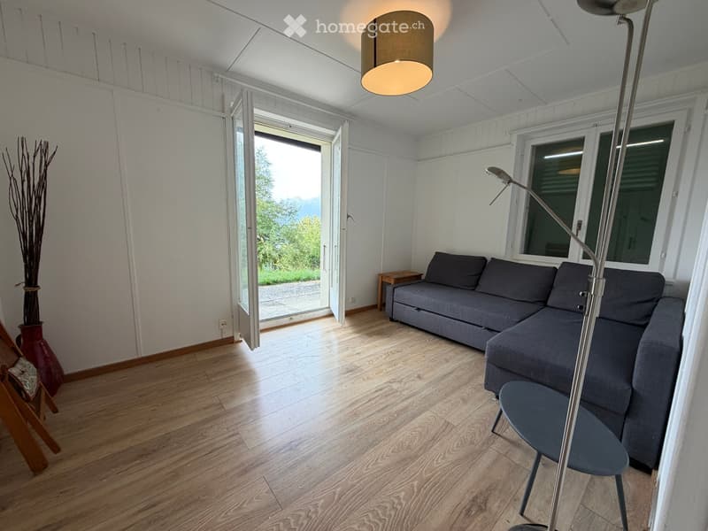 Alpine Apartment with a view (5)