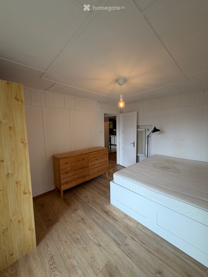 Alpine Apartment with a view (4)