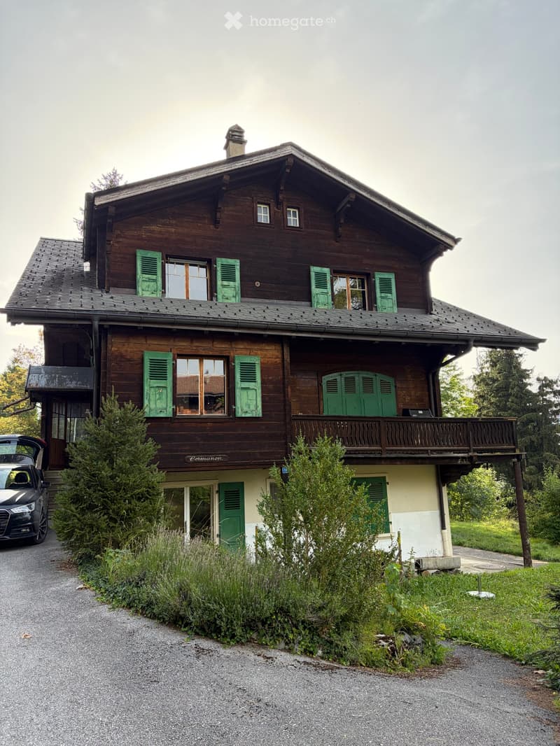 Alpine Apartment with a view (1)