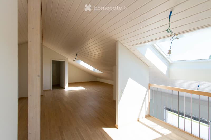 Superbe duplex lumineux (2)