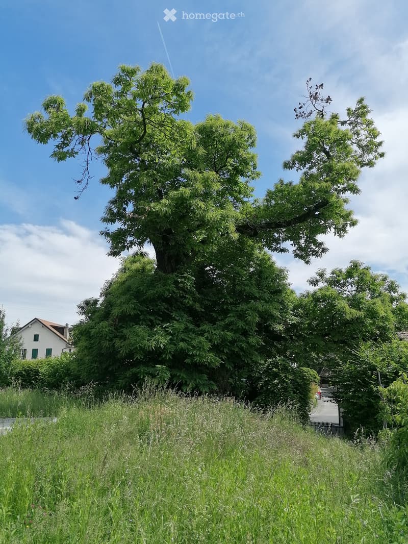 Vivre en partageant des espaces et un peu de temps ensemble. (8)
