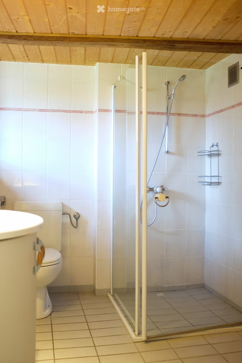 Magnifique appartement en duplex de 4,5 pièces (9)