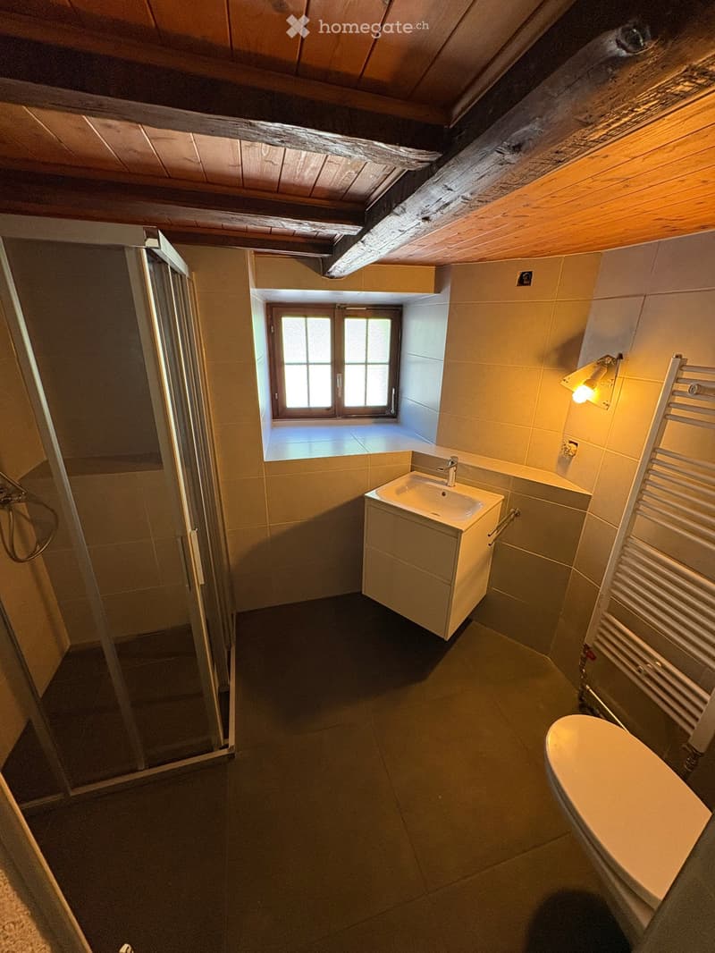 Magnifique appartement en duplex de 4,5 pièces (11)