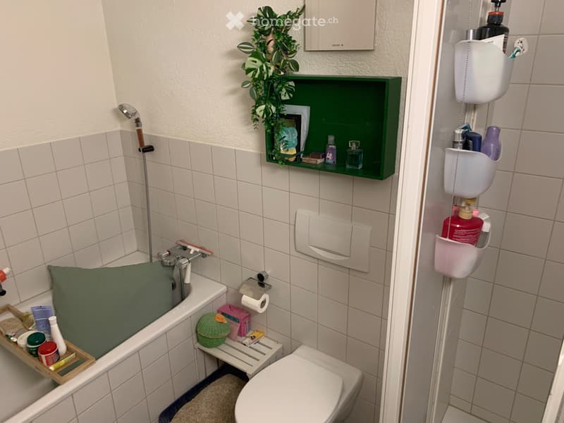 Suche Nachmieter in Bauernhof Dachwohnung 4 Zi und Galerie (4)