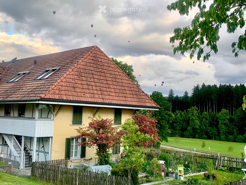 Suche Nachmieter in Bauernhof Dachwohnung 4 Zi und Galerie (5)