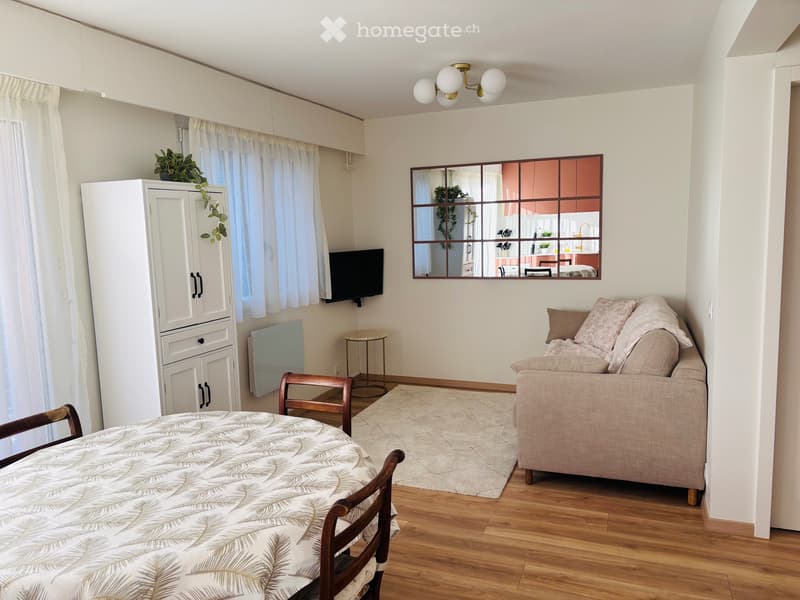 Loue appartement rénové aux portes de Genève (Sauverny, FR) (2)