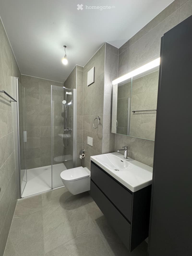 À louer  Appartement neuf de 3.5 pièces en attique (4)