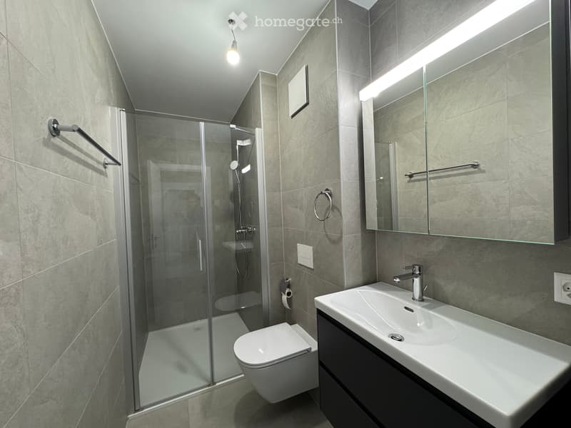 À louer Appartement neuf de 3.5 pièces en attique (4)
