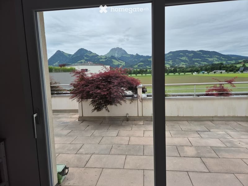 Magnifique 3.5 pièces (110m2 + pièce bonus)- Grande terrasse (6)