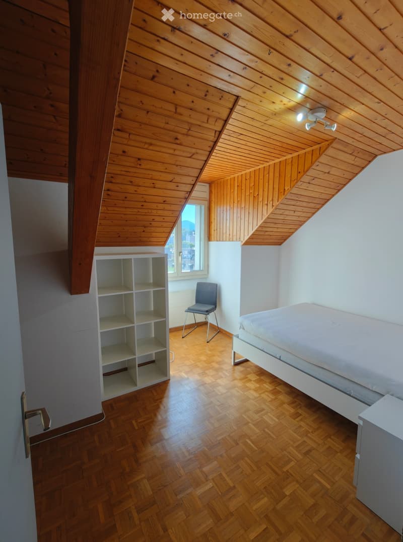 Belle chambre à louer / Beautiful room in Carouge (1)