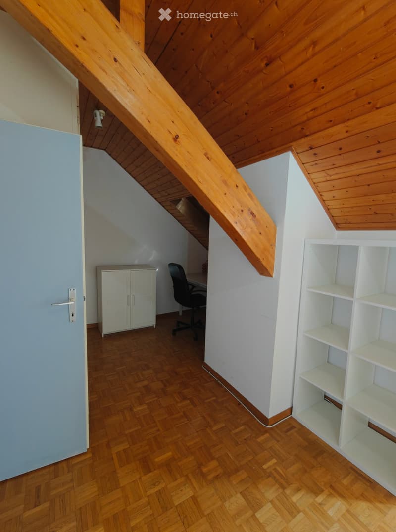 Belle chambre à louer / Beautiful room in Carouge (2)