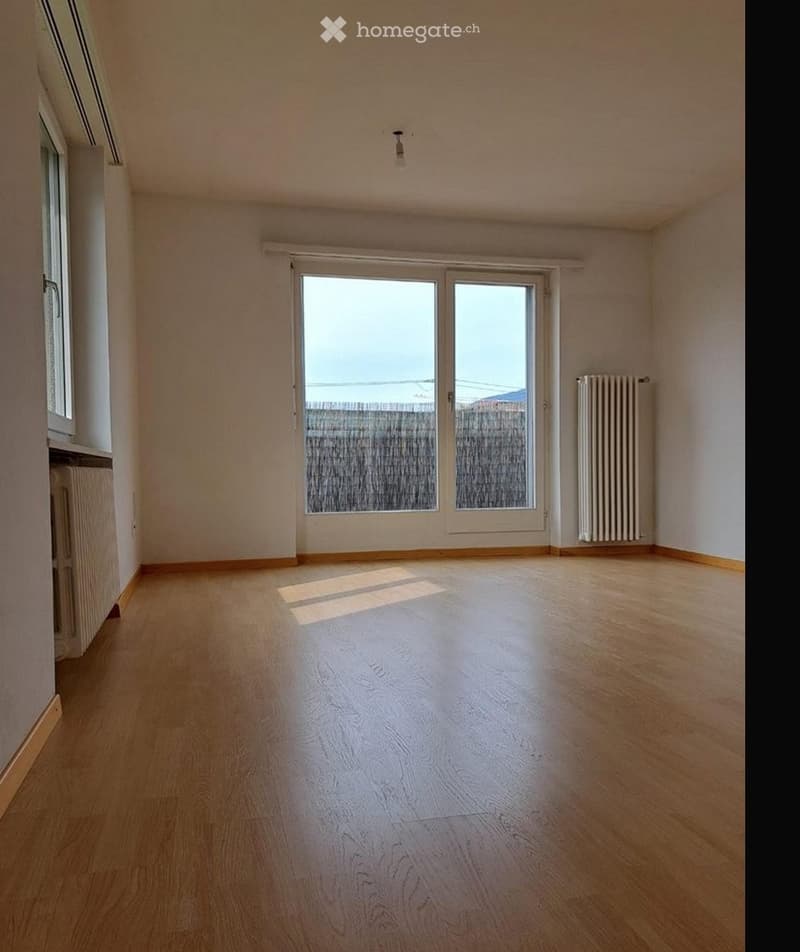 Joli appartement avec grand balcon près de la gare (4)