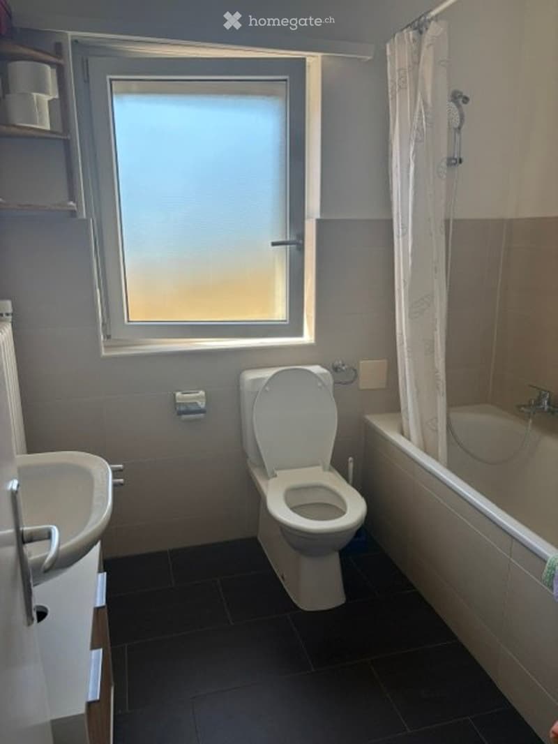 Joli appartement avec grand balcon près de la gare (2)