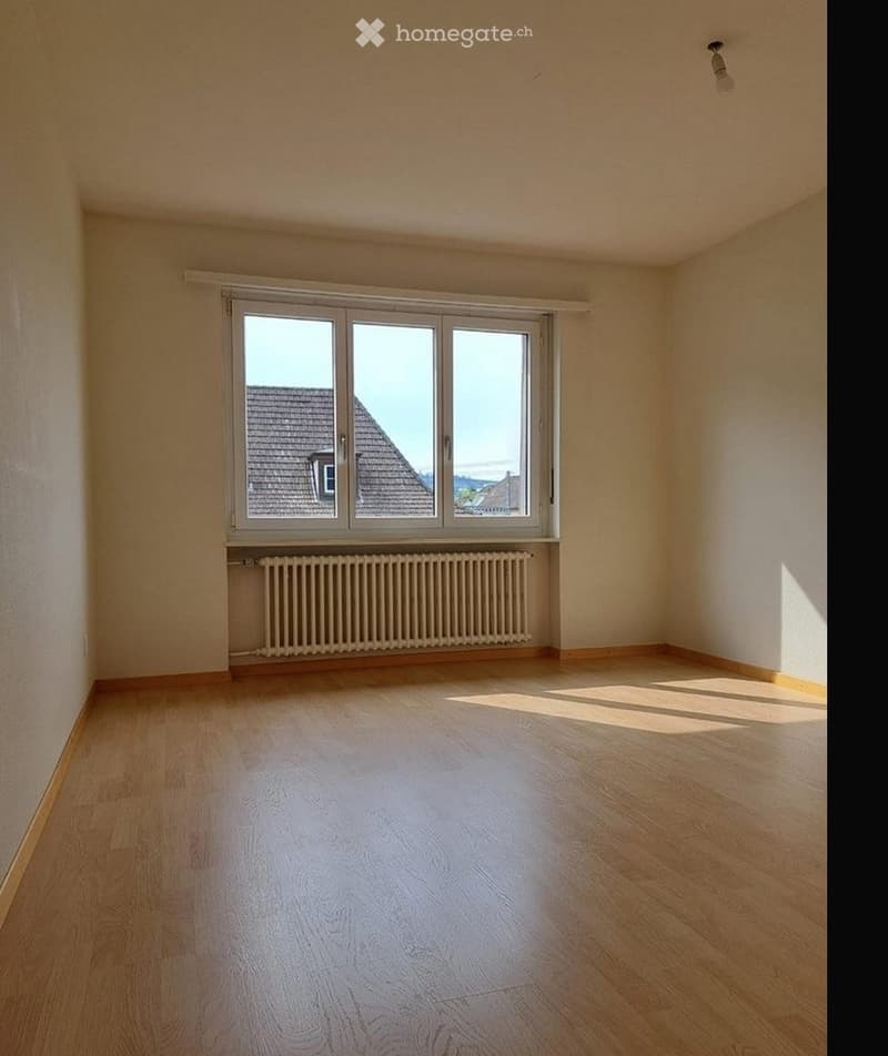 Joli appartement avec grand balcon près de la gare (3)