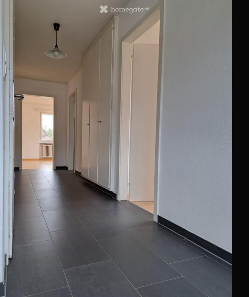 Joli appartement avec grand balcon près de la gare (5)