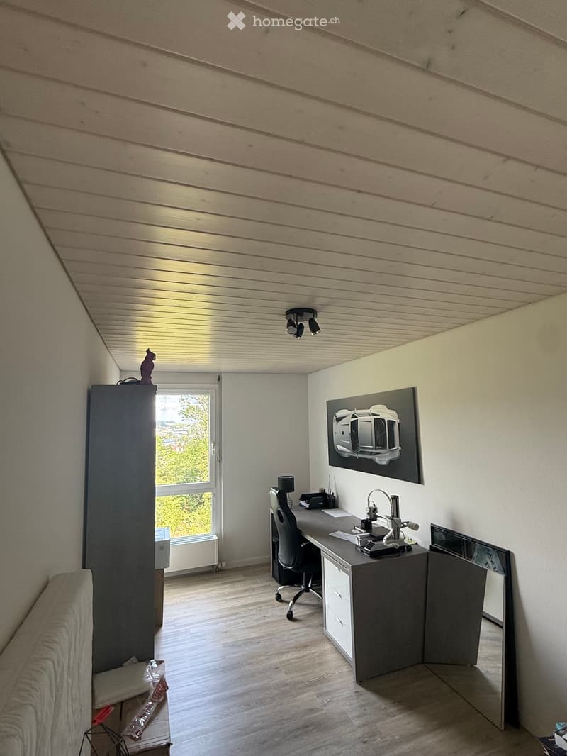 Grand appartement - sous location (4)