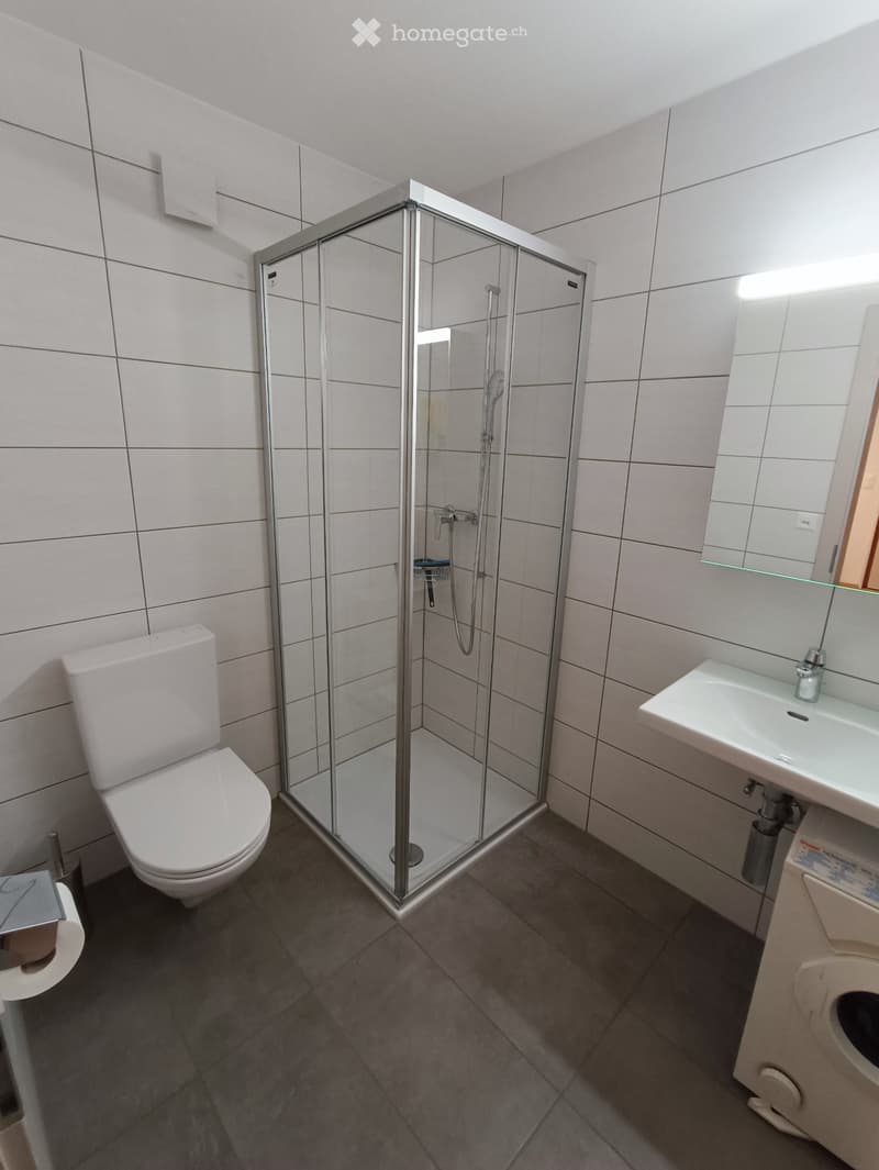 Zweizimmerwohnung in Schwarzsee (4)