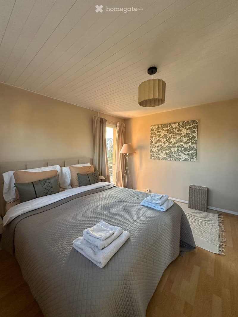 Fully Furnished Apartment for Monthly Rental (3)