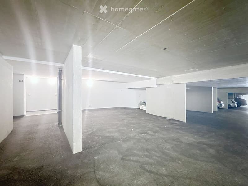 Magnifique appartement/maison de 5,5 pièces (4)