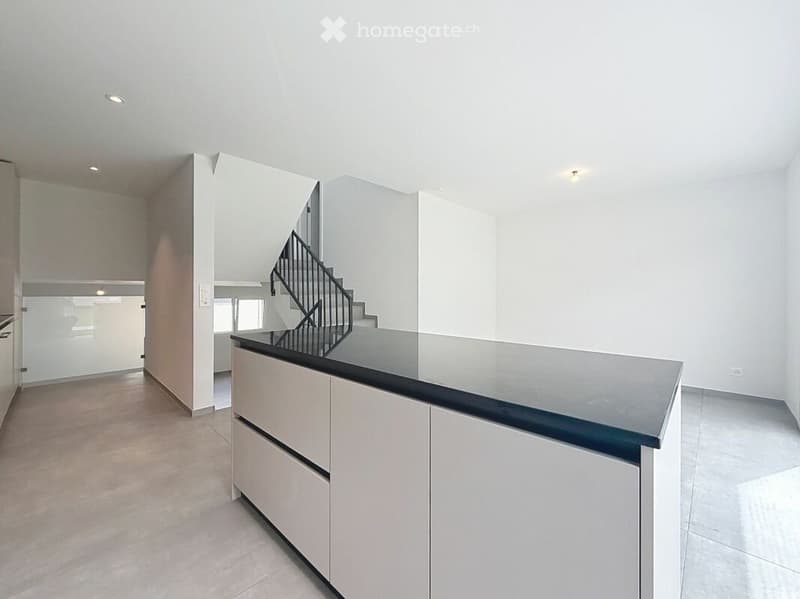Magnifique appartement/maison de 5,5 pièces (3)