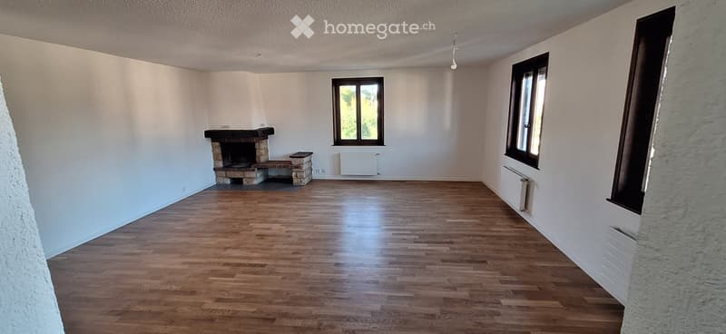 Appartement rénové dans ancienne ferme, 173 m², grand jardin (2)