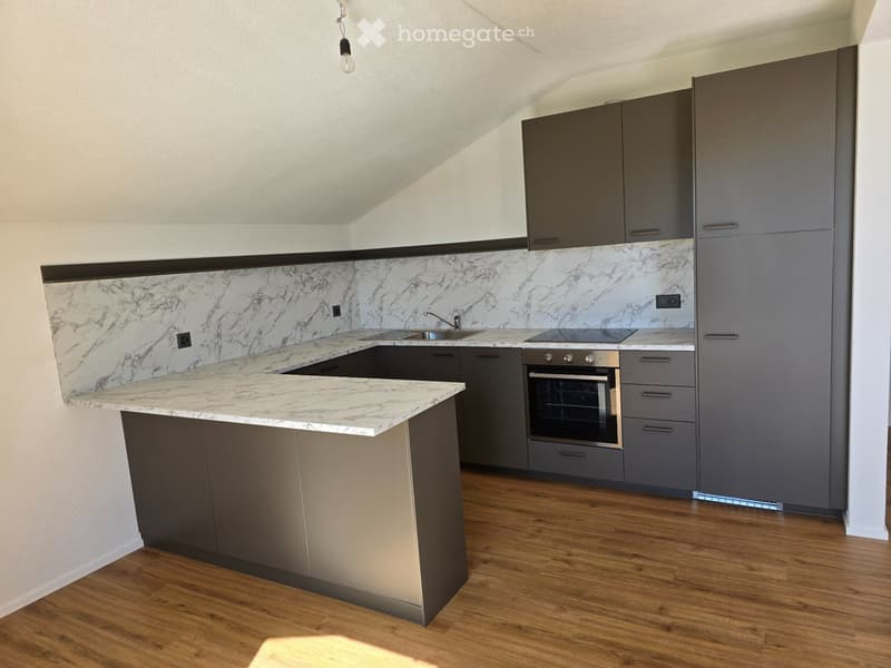 A louer appartement fraichement rénové de 2.5 pcs à Courtion (5)