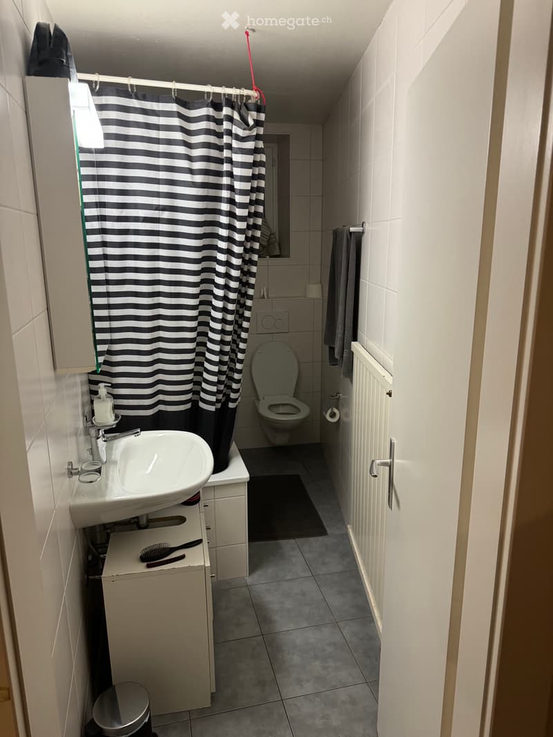 Chambre libre en colocation Lausanne (Bellevaux) (3)