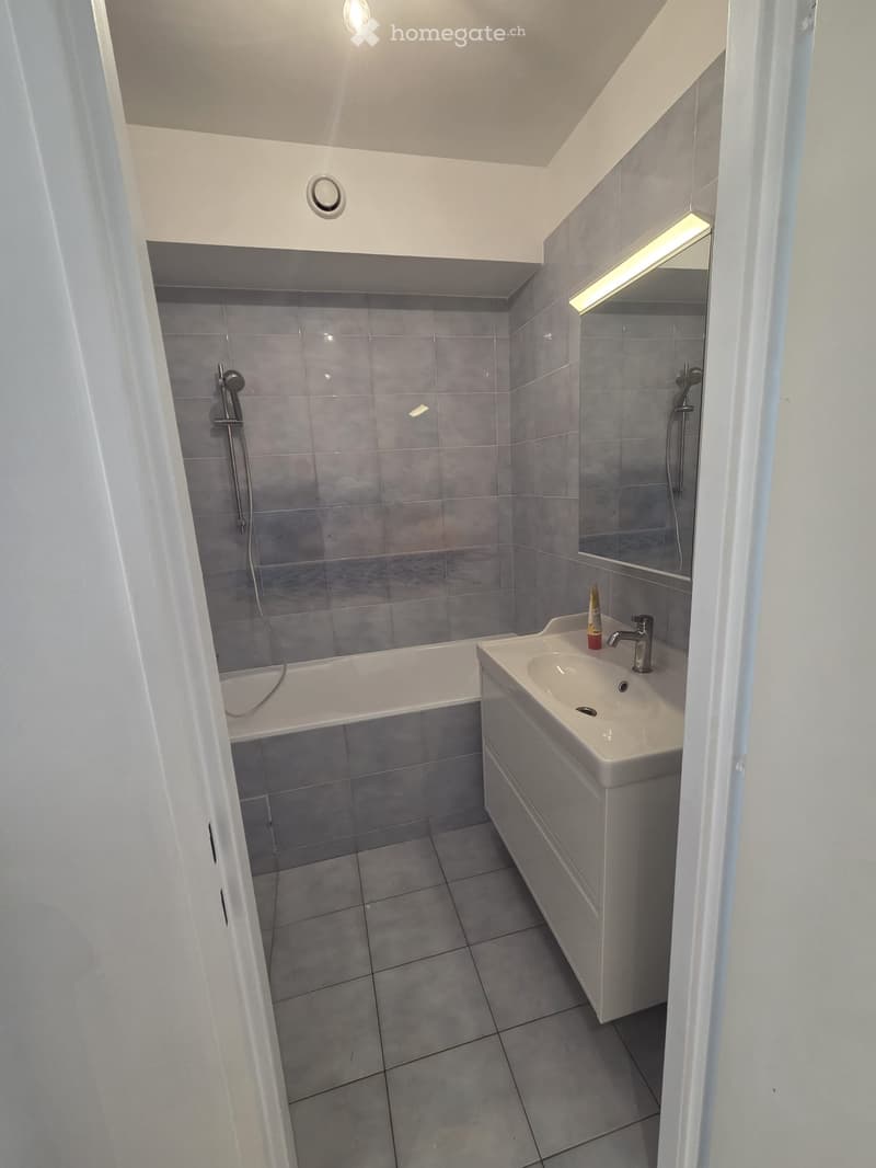 MEYRIN  Lumineux appartement de 4 pièces (2)