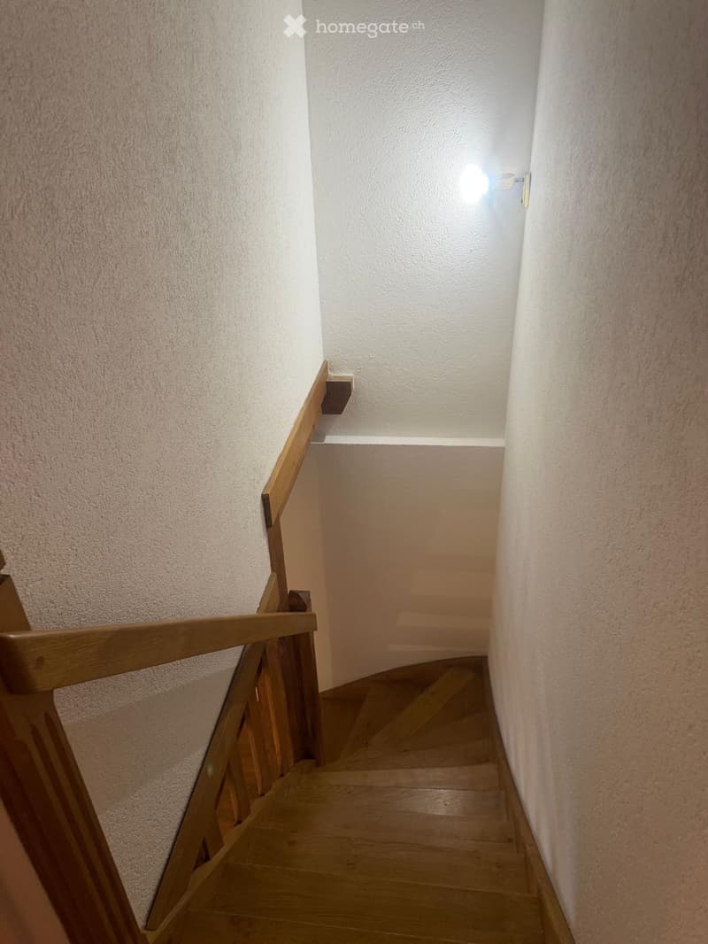Charmant duplex de caractère 5,5 pièces  130 m² + jardin (4)