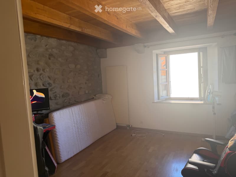 Charmant duplex de caractère 5,5 pièces  130 m² + jardin (3)