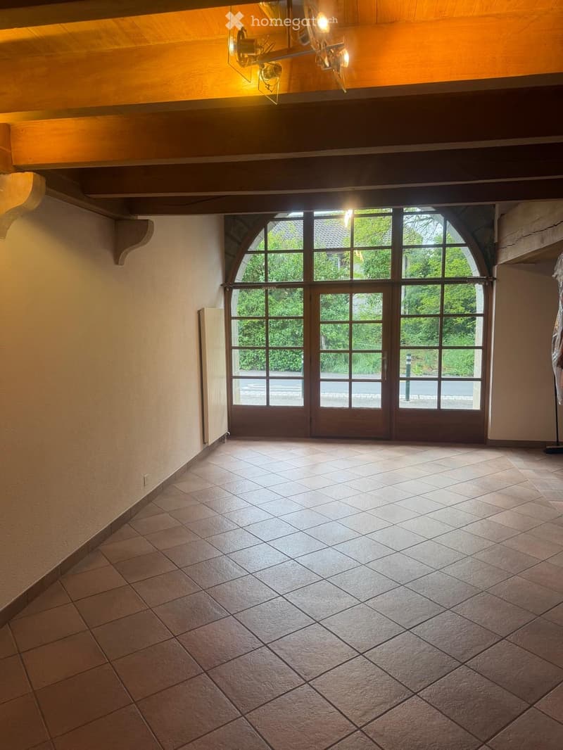 Charmant duplex de caractère 5,5 pièces  130 m² + jardin (5)