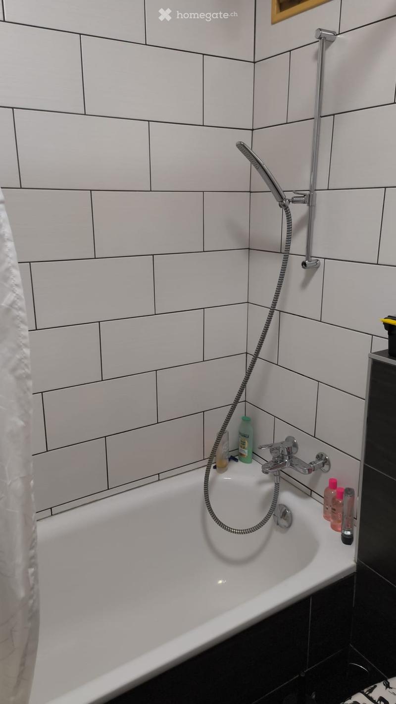 Appartement à louer à l'année à Gryon (3)