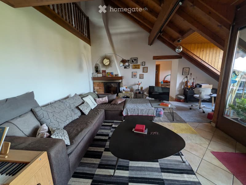 Grand appartement lumineux, vue et cheminée! (1)