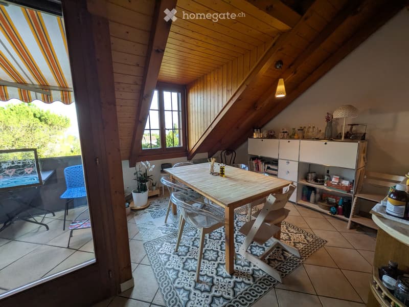 Grand appartement lumineux, vue et cheminée! (2)