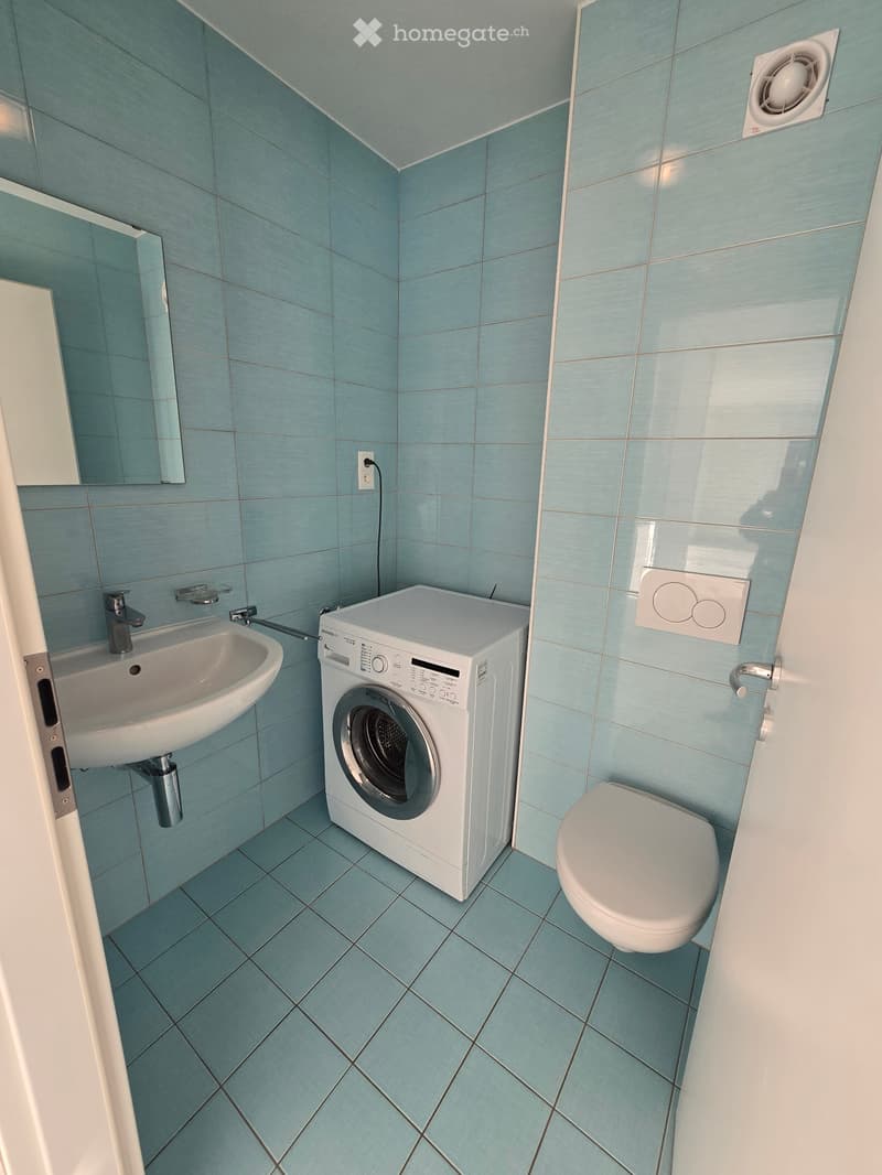 Appartement 4.5pces à louer à Collonges (2)