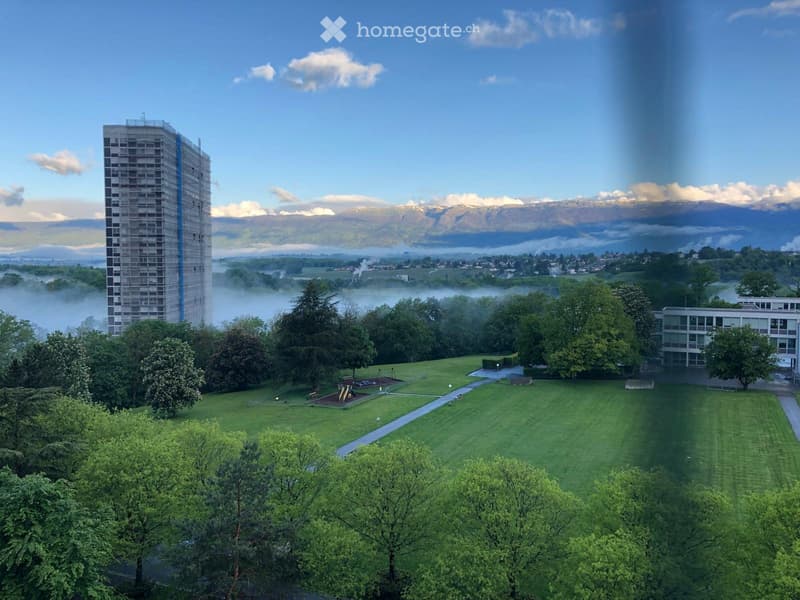 Reprise de bail au Lignon (1)