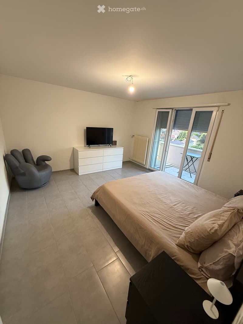 Apparemment 1.5 pièces rénové avec balcon et cave (1)