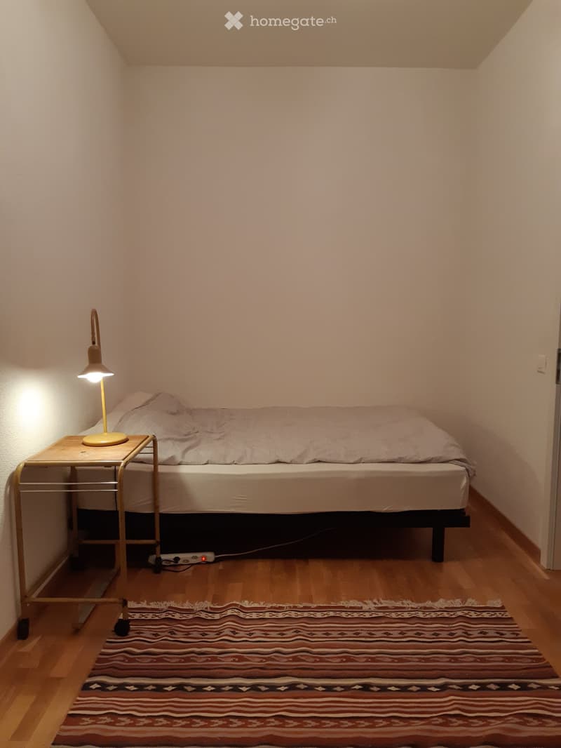For rent 2.5 BR in kreis 3 Zurich (5)