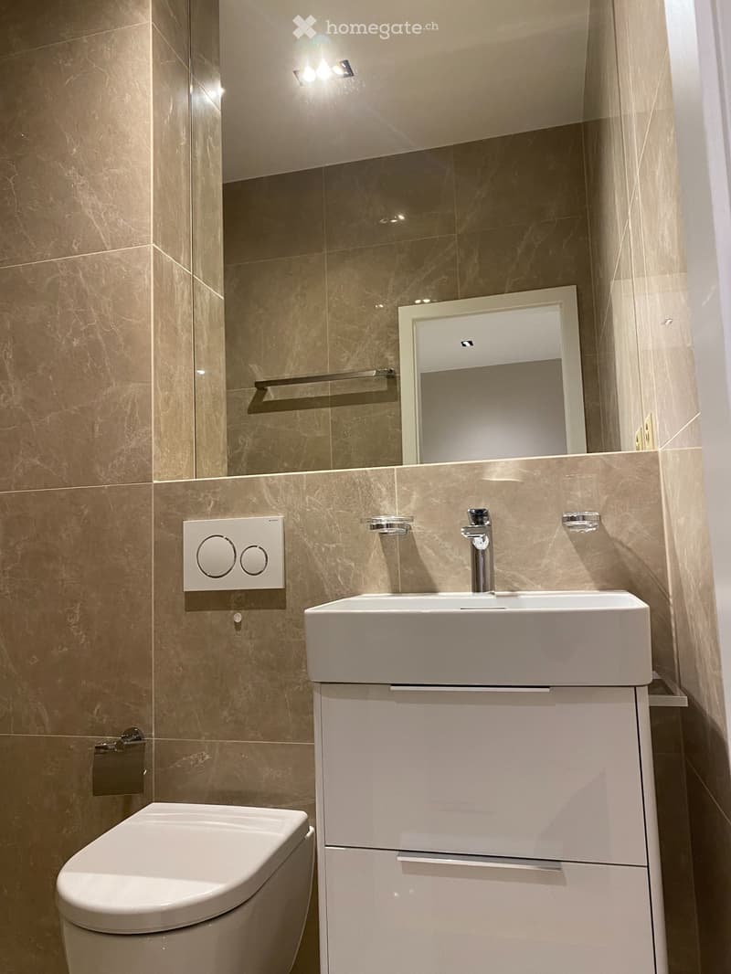 Appartement luxueux et moderne de 2 pièces (3)