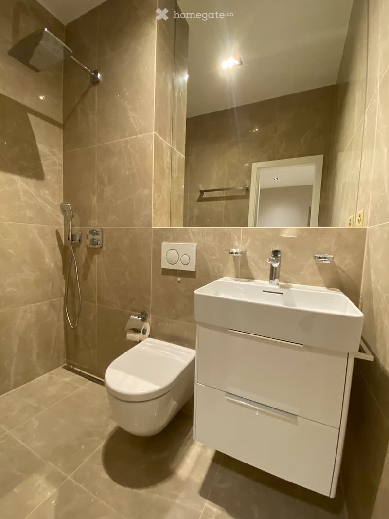 Appartement luxueux et moderne de 2 pièces (4)