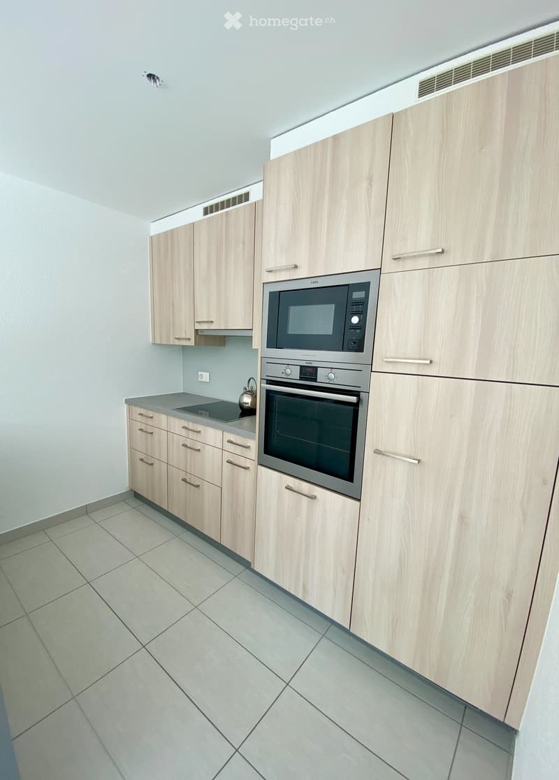Vétroz - Spacieux apt.4.5 pièces avec pelouse privative (2)