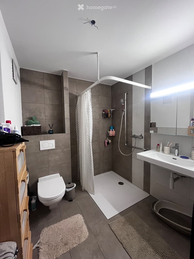 Appartement 2,5 pièce (3)