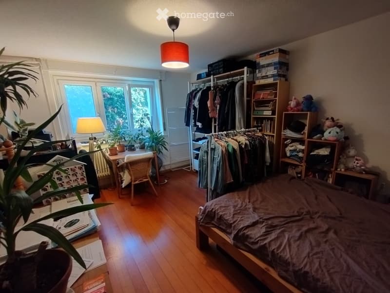 Appartement à louer 2,5 pièces - dès le 15 octobre (5)