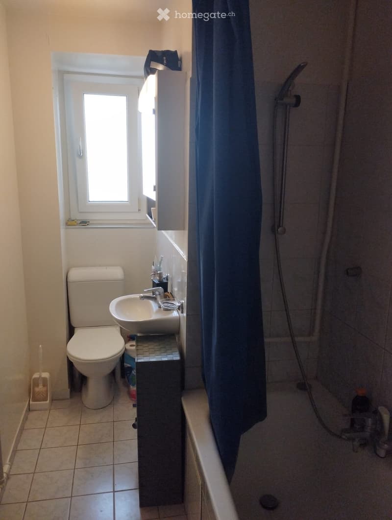 Appartement à louer 2,5 pièces - dès le 15 octobre (4)