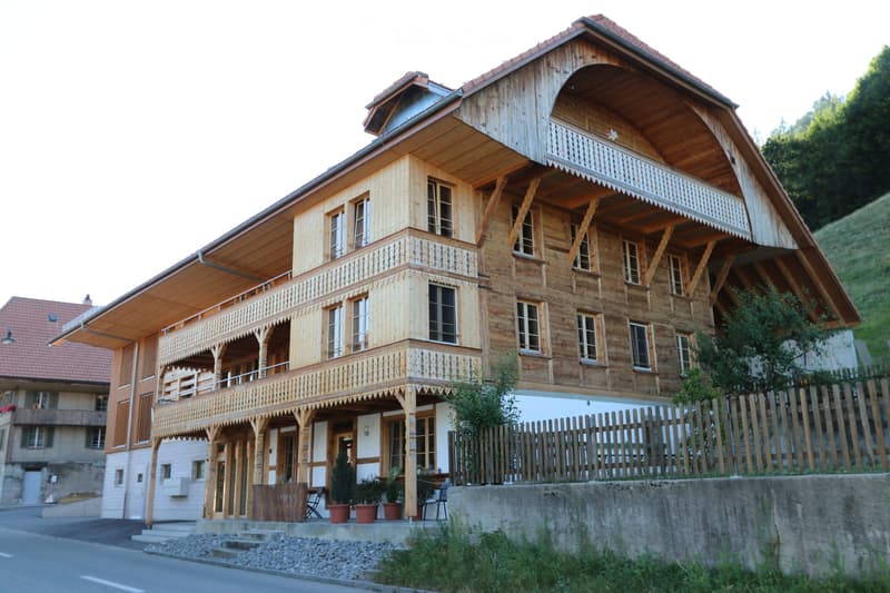 Moderne 3.5-Zimmerwohnung (Hochparterre) in ehem. Bauernhaus (3)
