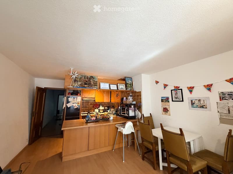 Appartement spacieux a Coppet (5)
