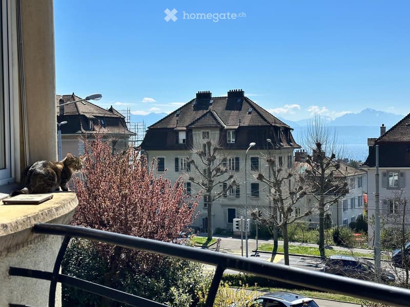 Wonderful apartment available for rent (Lausanne, Vidy) (1)